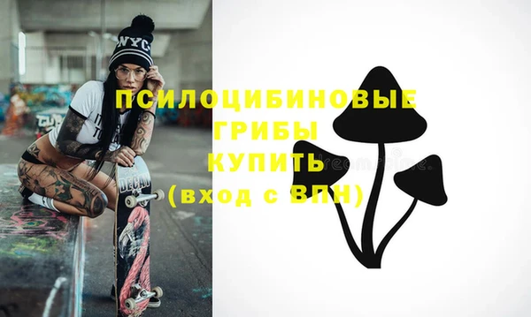 индика Семикаракорск