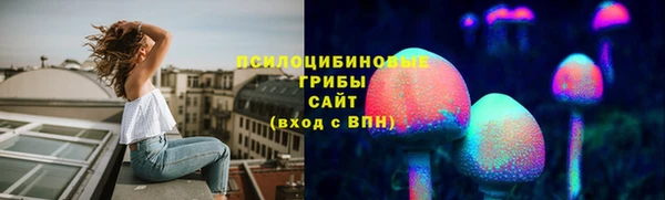 сатива Карпинск