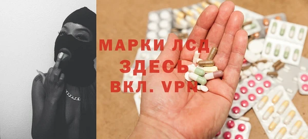 индика Семикаракорск