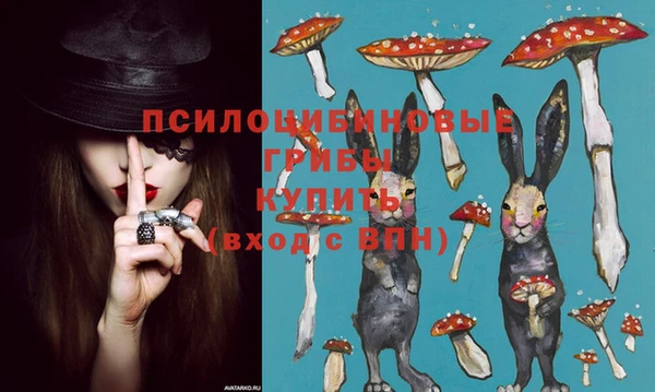 индика Семикаракорск