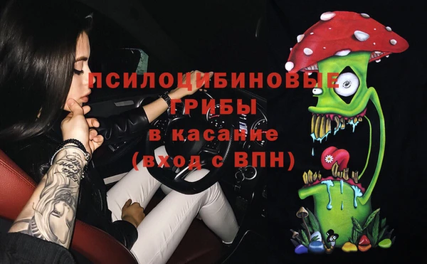 сатива Куйбышев