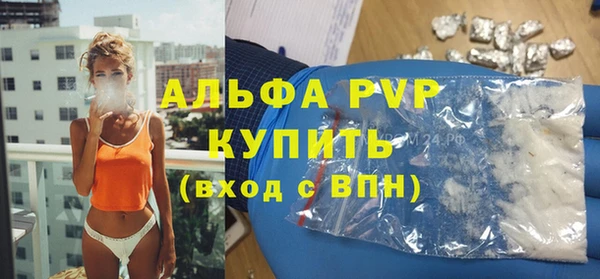 индика Семикаракорск