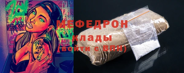 индика Семикаракорск
