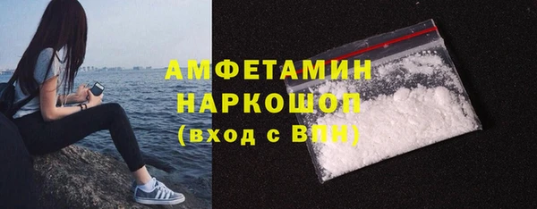 индика Семикаракорск