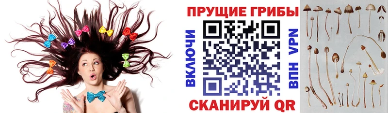 Псилоцибиновые грибы MAGIC MUSHROOMS  это как зайти  Благодарный 